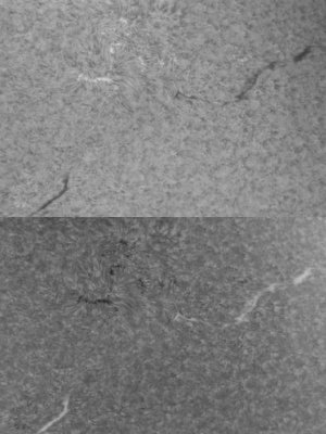 Filaments 24 April 2008
