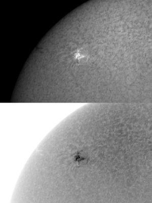 AR 1046 10 February 2010