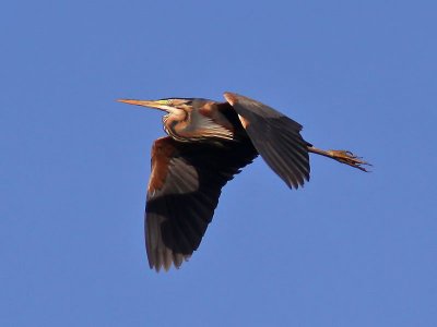 g3/49/818749/3/111446003.uod3ArF8.jpg