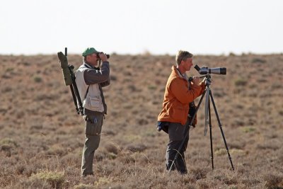 Looking after Dupont's Lark