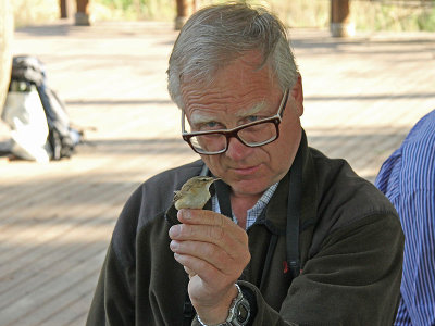 Uno had the honour of ringing a Manchurian reed-warbler