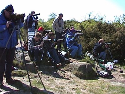 Albatross finders 2001