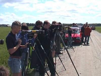 Bimaculated Lark, twitchers