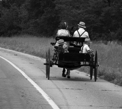 Amish Family 1.jpg