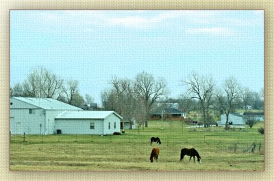 Farm Along the Road