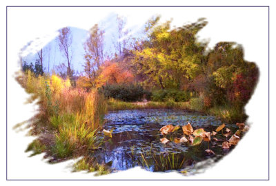 Lily Pond Hudson Garden Version 2