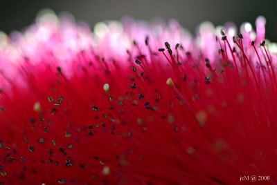Explosion de couleurs