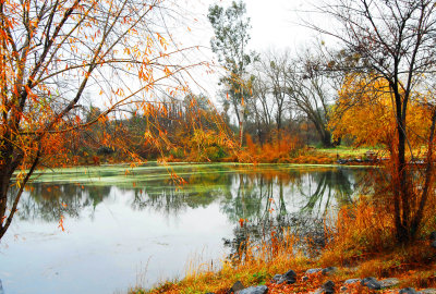 FISHING POND IN RIVER BEND PARK.jpg