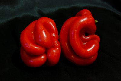 5.JPG
