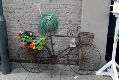 CYCLES  36.JPG