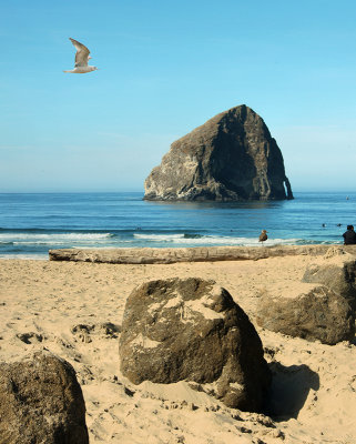 Haystack Rock with Gulls
