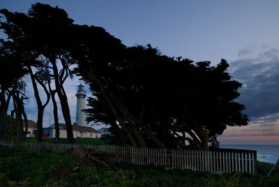 Framed By The Monterey Cypress