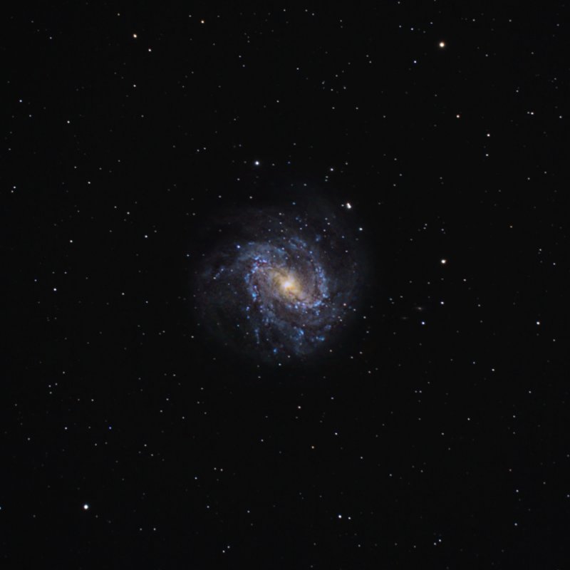 M83 Galaxy