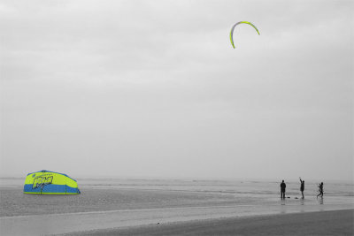 Cerfs volants