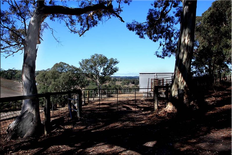 Farmyard gate - the morning walk