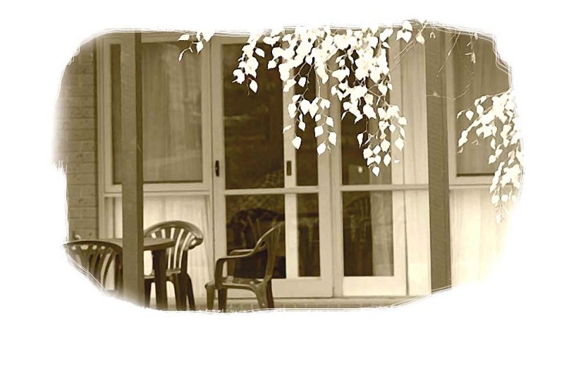 French doors - 25