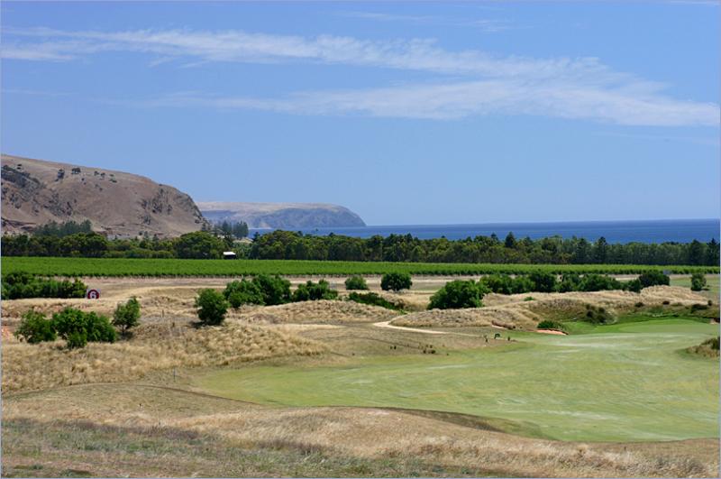 Golf course vineyards & the sea