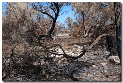 Curramulka - nestling in low rolling hills on the Yorke Peninsula