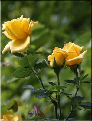 g3/49/99249/3/124001562.a02vBZvZ.jpg
