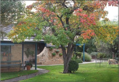 Oldfields of Mintaro in Autumn 2010 & earlier