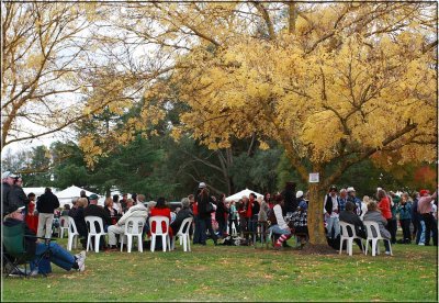 On the lawns at Sevenhill 