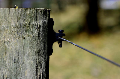 g3/49/99249/3/57277933.Fencepost150306.2.jpg