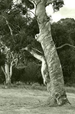 g3/49/99249/3/57938266.Treewithatwistedtrunk300306.3greygreen.jpg