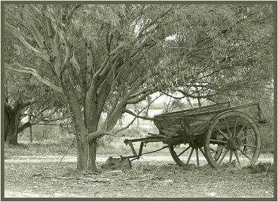 The old cart
