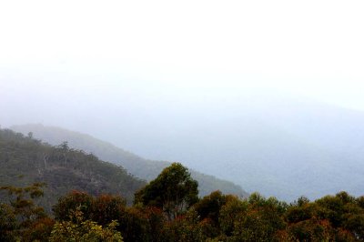 Misty mountains New England near Glencoe