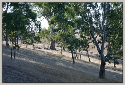 Late afternoon shadows