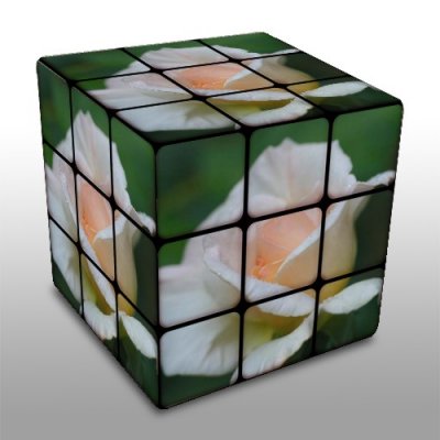 Rubik's cube experiment