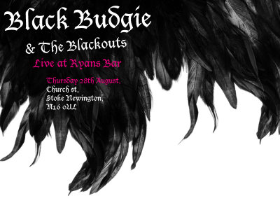 Black Budgie @ Ryan's Bar