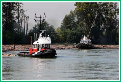 Tugs sorting logs on the river.