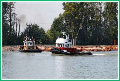 Tugs sorting logs on the Fraser River.