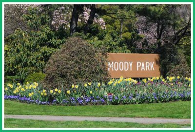 Moody Park entrance.