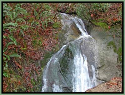 Lotsa Water Falls.