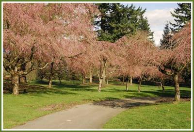 Van Dusen Garden, Vancouver, BC
