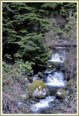 Small creek, small waterfall.