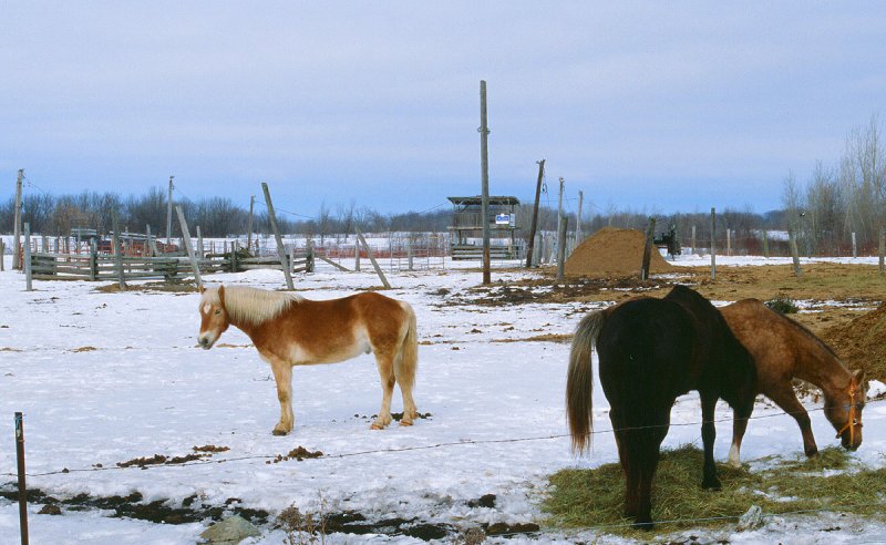 08980006_00.jpg