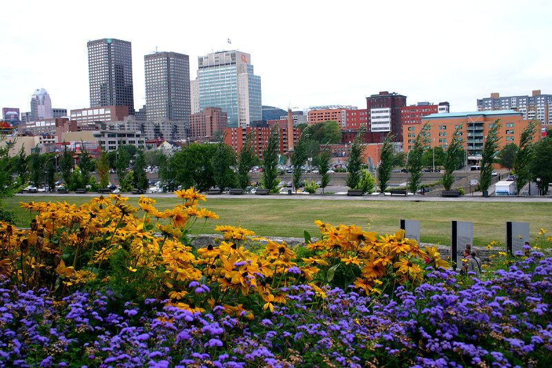 The City in flowers