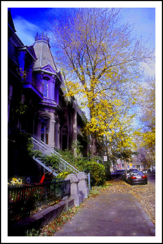 Automne a Montreal