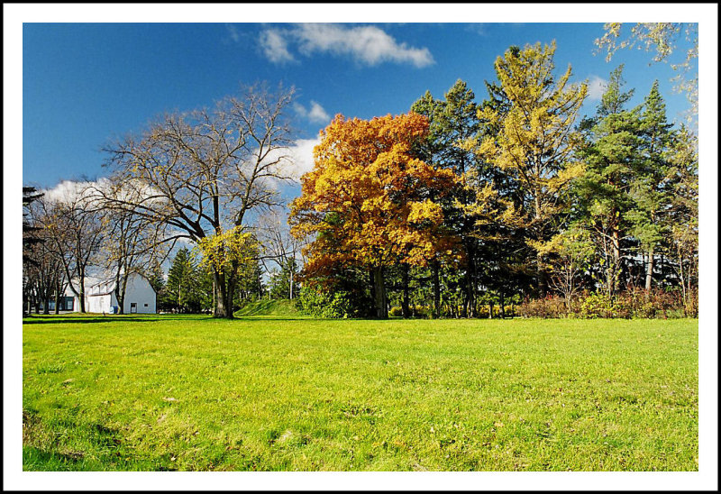 Autumn colors