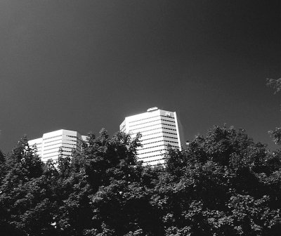 00170022.jpg