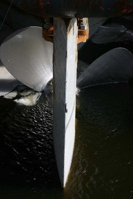 IMG_0062.jpg