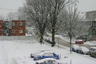g3/50/291550/3/122265203.Spk4VYAr.jpg