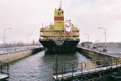F1000002LARGE.jpg