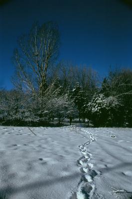 02460016Large.jpg