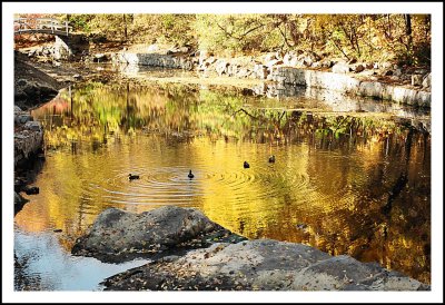 Couleurs d'automne