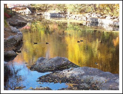 Couleurs d'automne