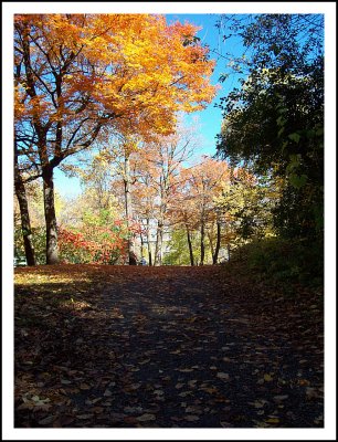 Couleurs d'automne